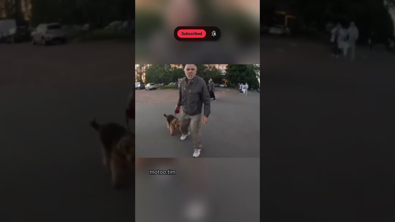 Road Rage ERUPTS Between Biker and Pedestrian