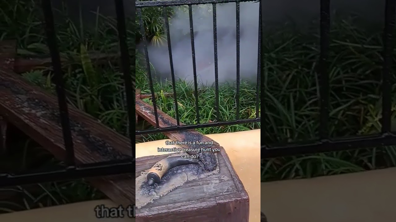 Magic Kingdom hidden secrets @piratesofthecaribean