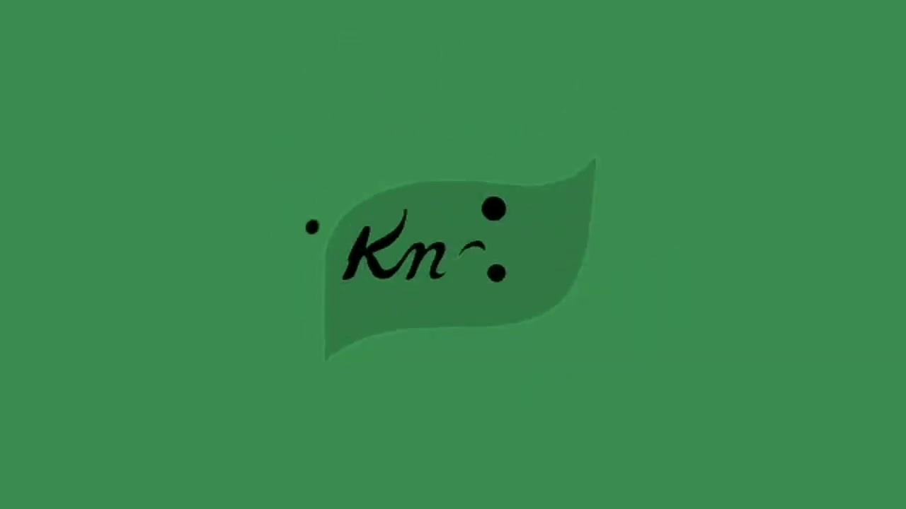 [REQUESTED] Knorr Logo (2024) Effects (Goldfish Csupo Effects)