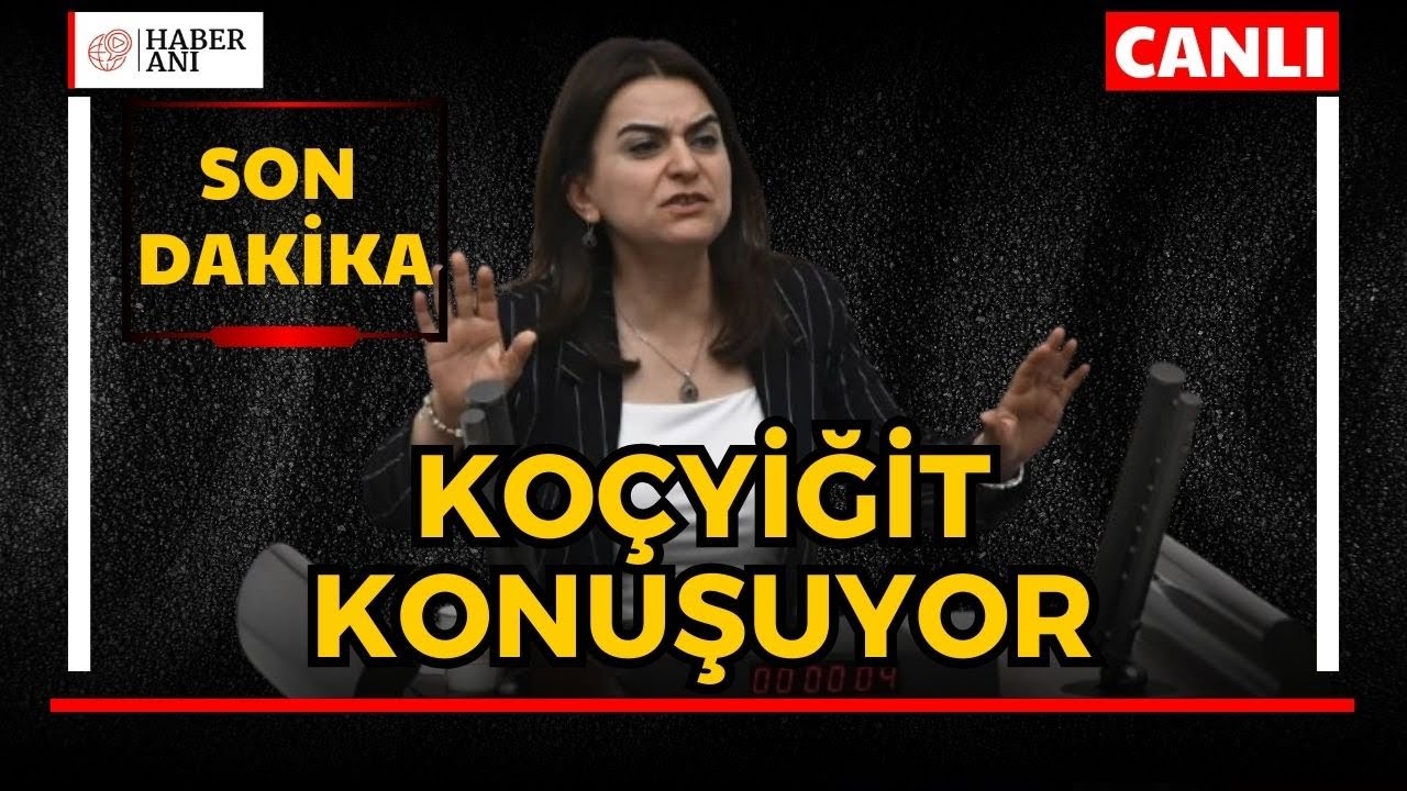 #CANLI | DEM Parti Siirt'te kayyum karşı a&ccedil;ıklama yapıyor: G&uuml;listan Kılı&ccedil; Ko&ccedil;yiğit konuşuyor