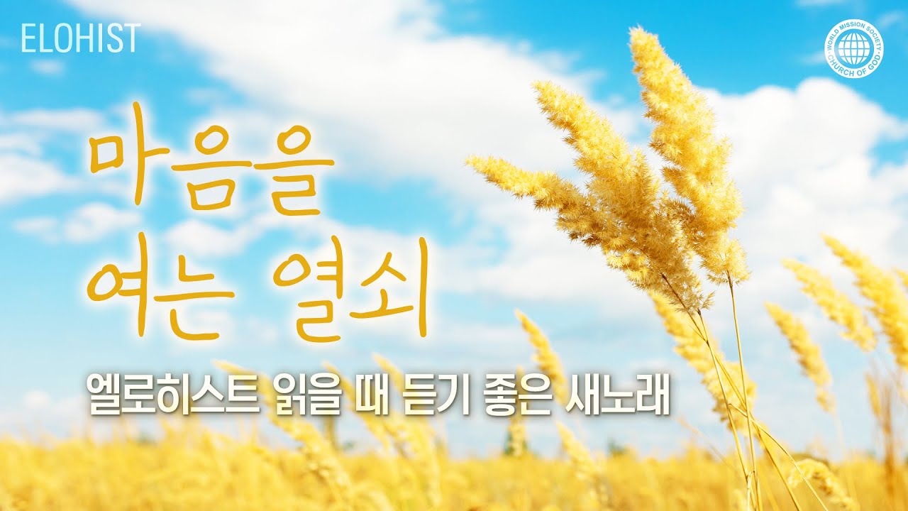엘로히스트 읽을 때 듣기 좋은 새노래 #10│2025