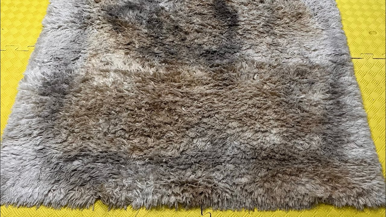 #asmr #halıyıkama #carpetcleaning #asmr 