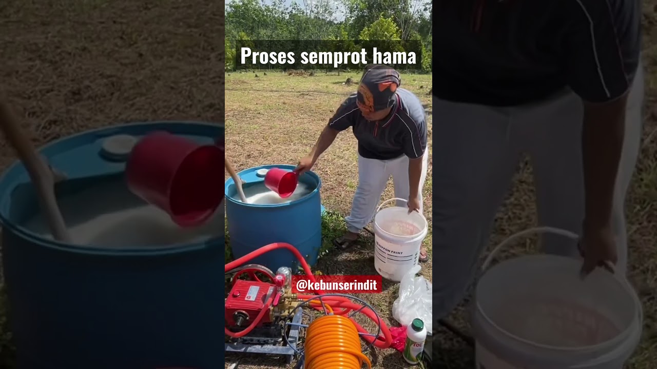 Meracik obat hama 