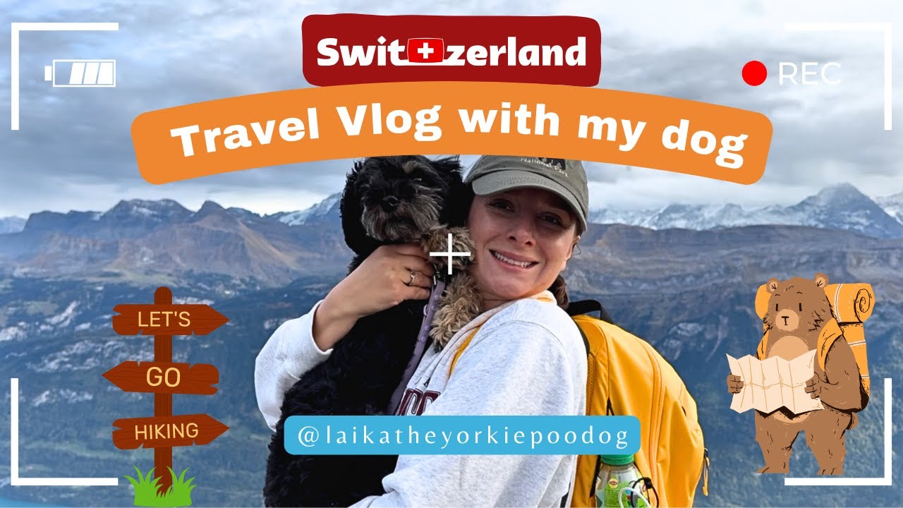 My first SOLO trip to Switzerland with my dog 🐶🇨🇭⛰️