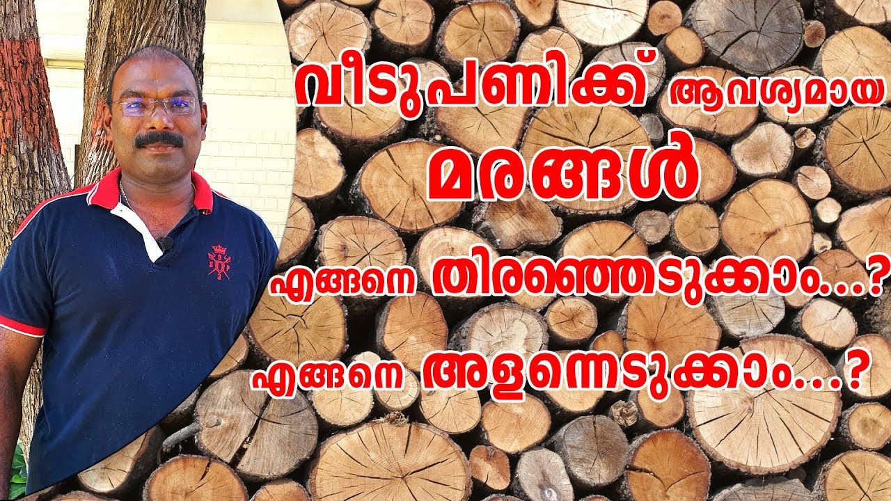 വീട് പണിക്ക് ആവശ്യമായ മരങ്ങൾ എങ്ങനെ തെരഞ്ഞെടുക്കാം ? എങ്ങനെ അളന്നെടുക്കാം ? #Hometech #KGFrancis