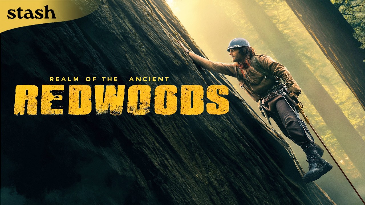 Realm of the Ancient Redwoods | Natural History Documentary | Full Movie