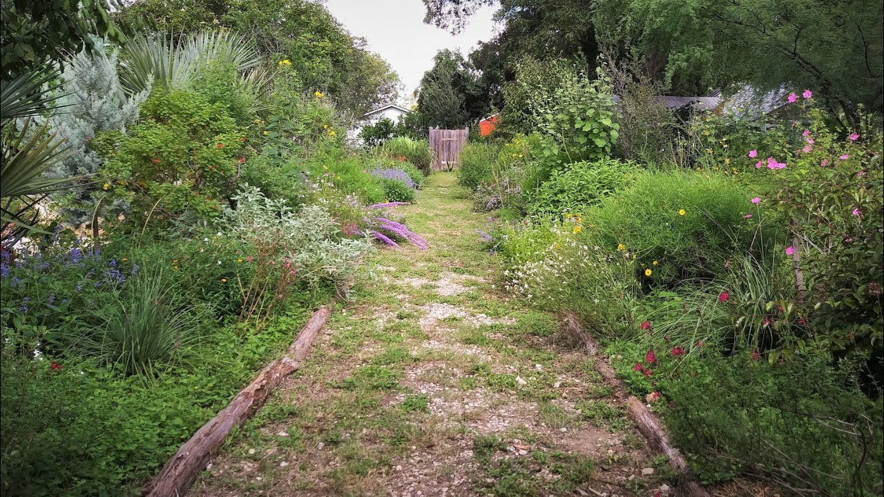 Take a Walk on the Dry Side Plants