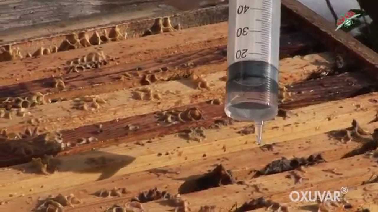 OXUVAR® - Bienenarzneimittel zur Varroabehandlung