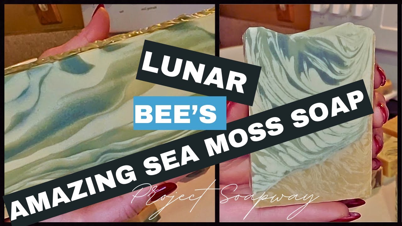 Gorgeous Sea Moss Soap with Lunar Bee!