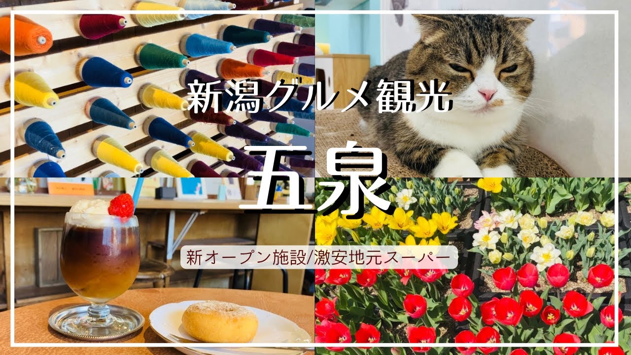 【新潟グルメ】新・観光拠点！ラポルテ五泉のチューリップ回廊/全国有数のニット生産地 /20匹の可愛い猫と触れ合うカフェ/地元激安スーパーのこだわり商品【おすすめ観光】