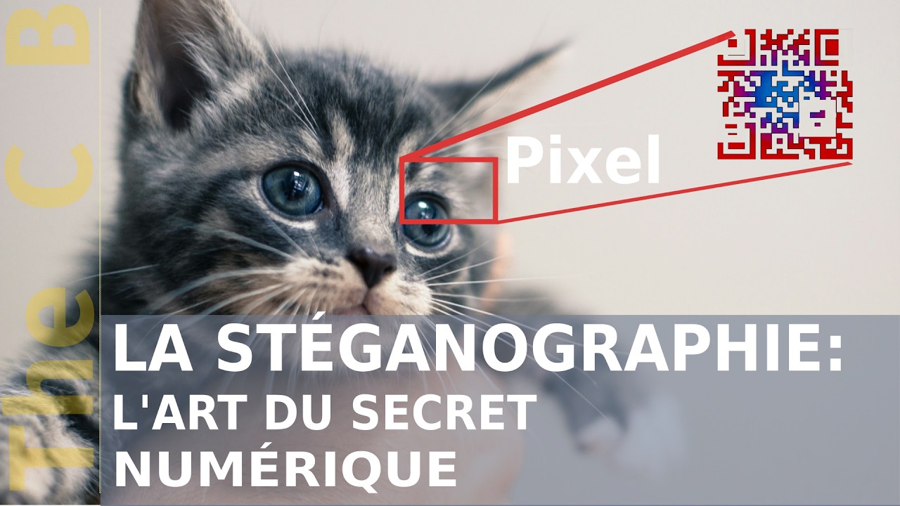 La Stéganographie: Arme Secrète Dans La Cybersécurité | Explication Complète