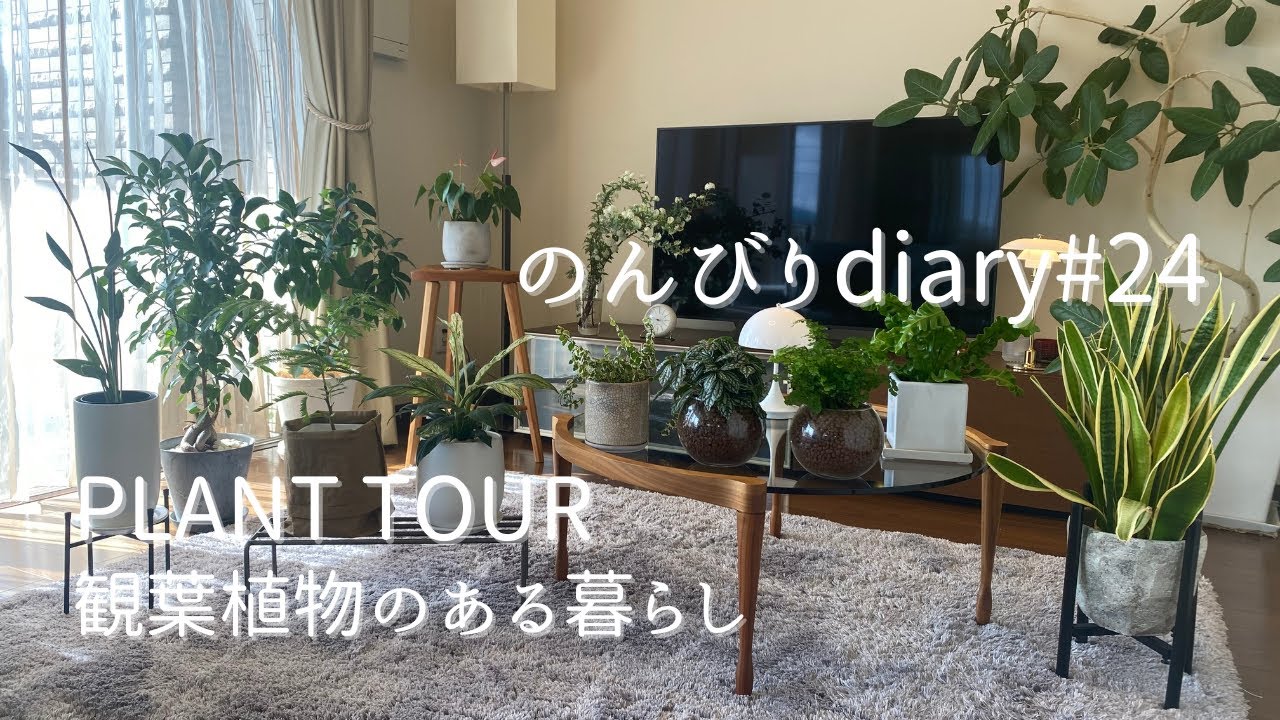 [50代主婦vlog]プラントツアー🪴/我が家の観葉植物のご紹介/インテリアグリーン/ザファームユニバーサル/マンション