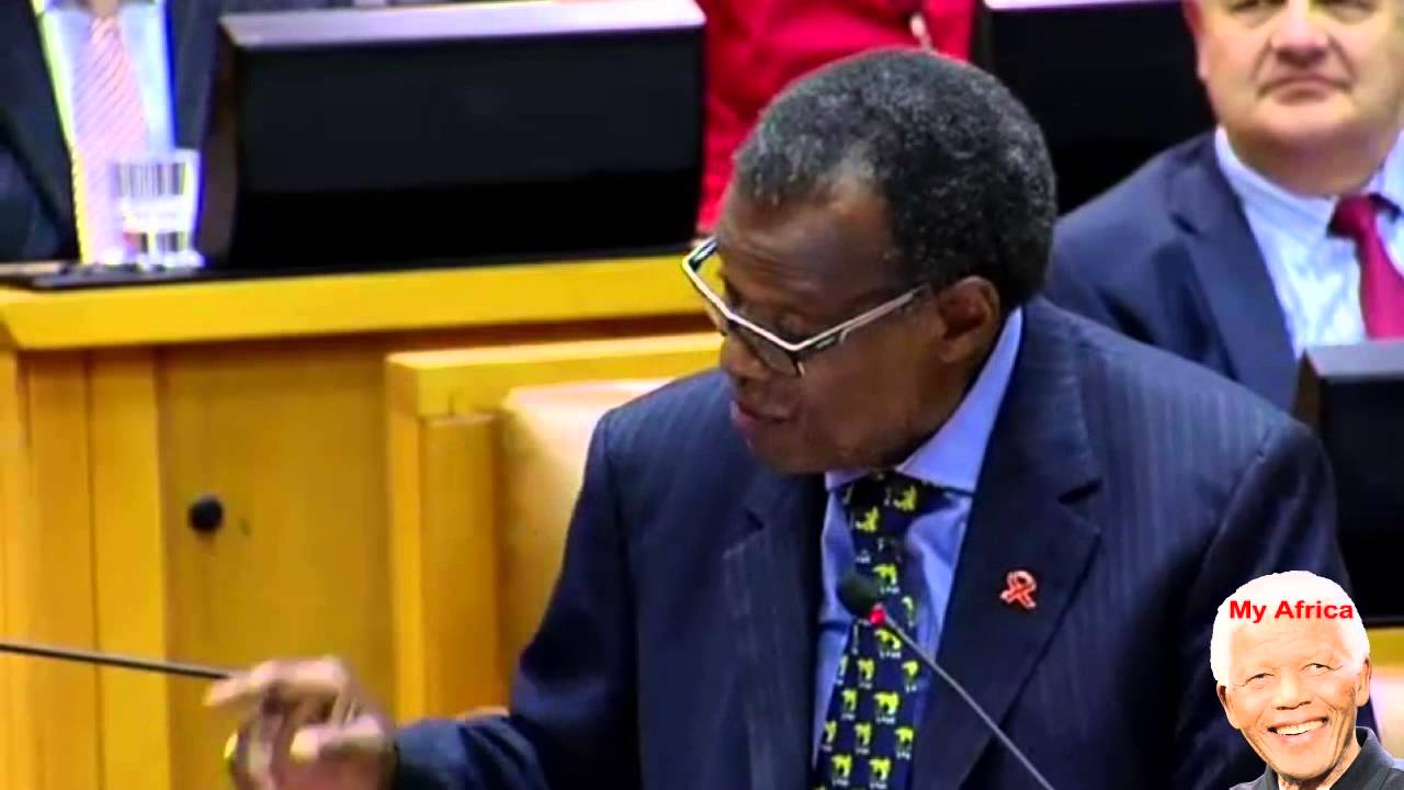 EFF Are Not Equal To Zuma And Buthelezi.
