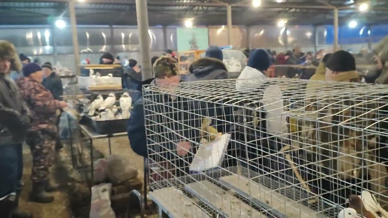 7.02.2026г Ярмарка ст.Бронницы ч.4
