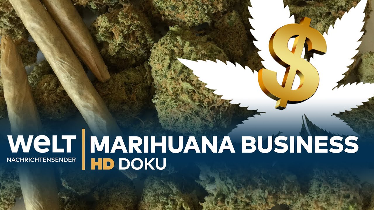 Big Business CANNABIS - Der gr&uuml;ne Rausch | Doku