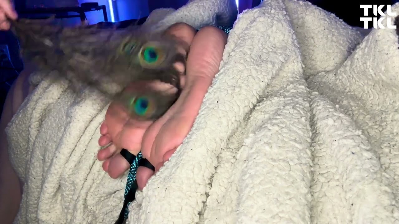Feather tickling feet