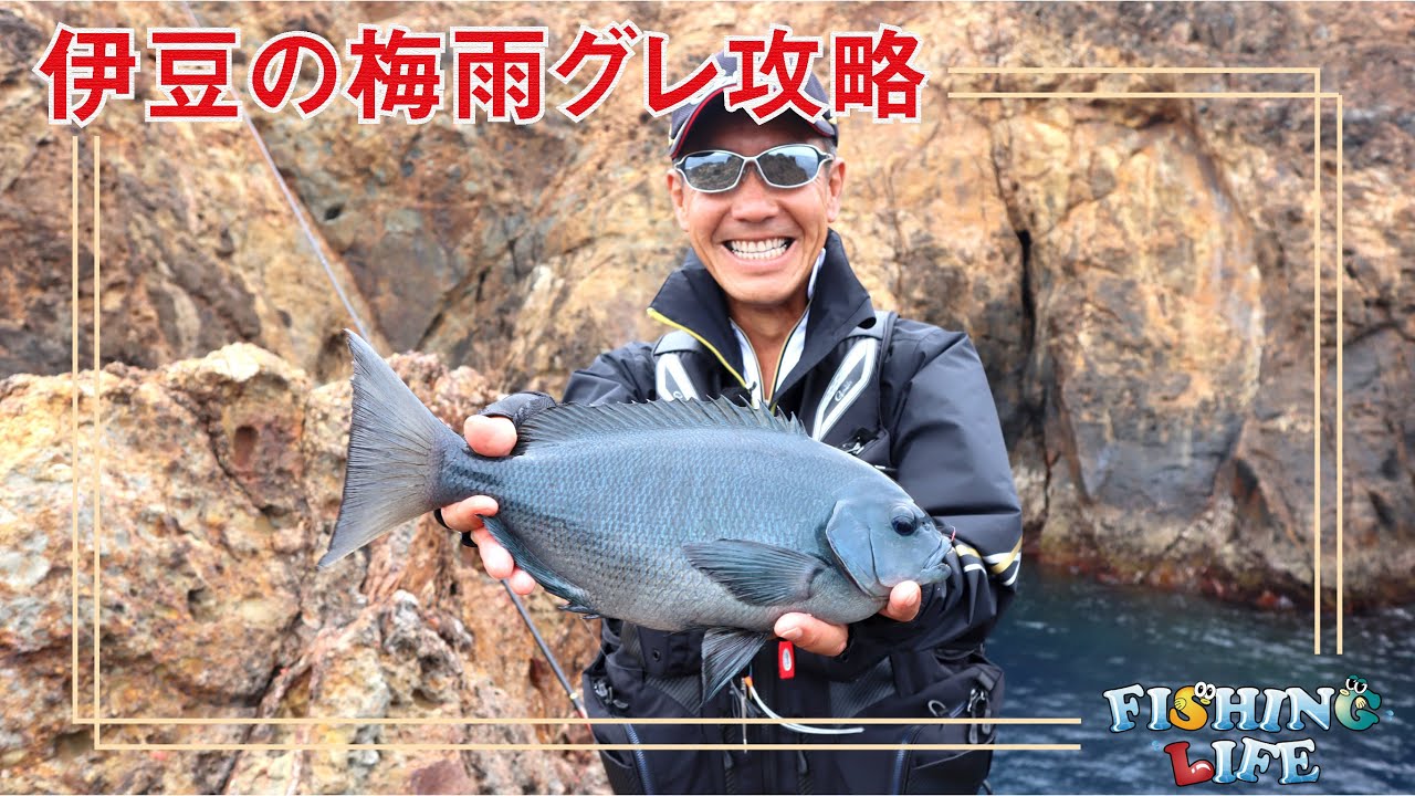 静岡県伊豆神子元島で狙う・シーズン終盤　梅雨グレ攻略