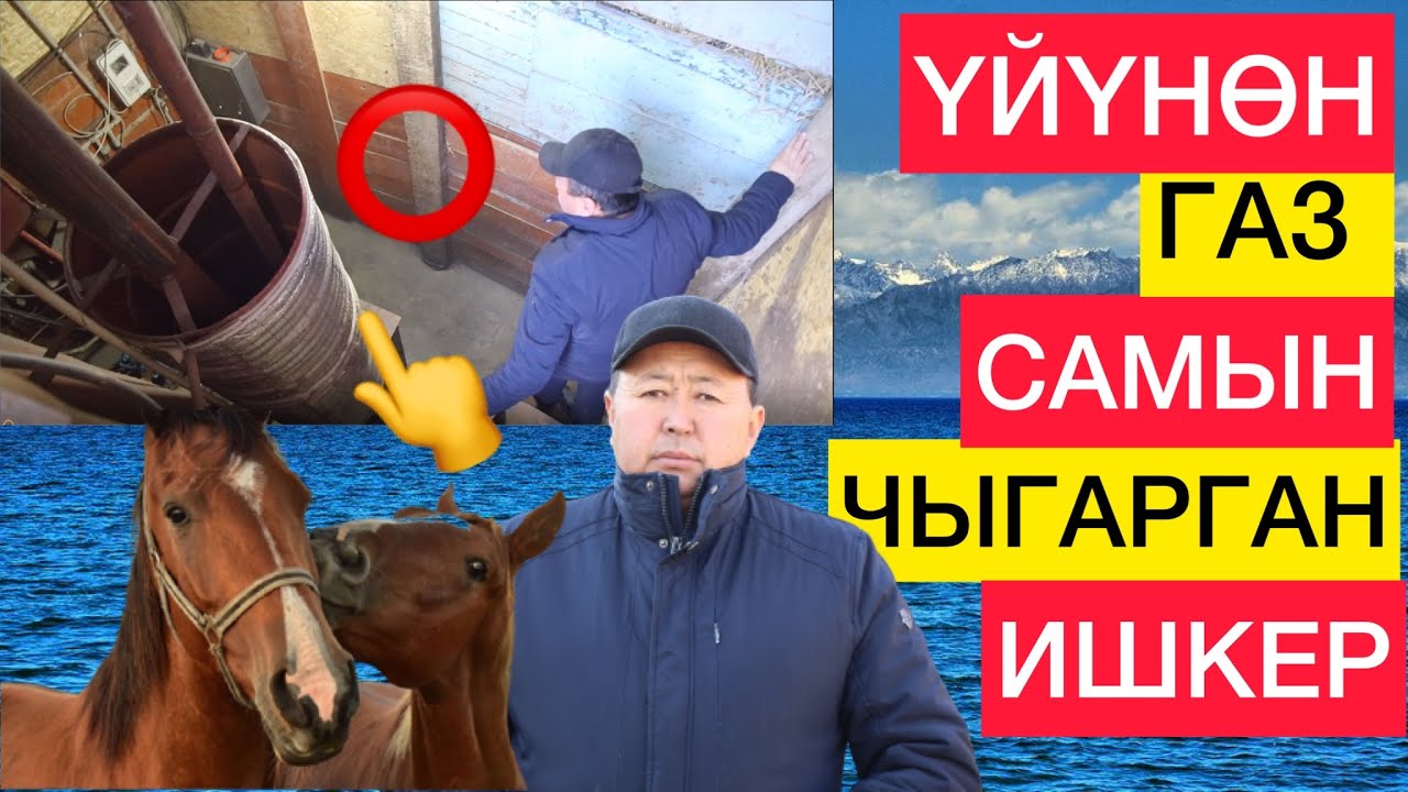 МАЛ КЫГЫНАН ГАЗ, САМЫН ЧЫГАРГАН ИШКЕР...