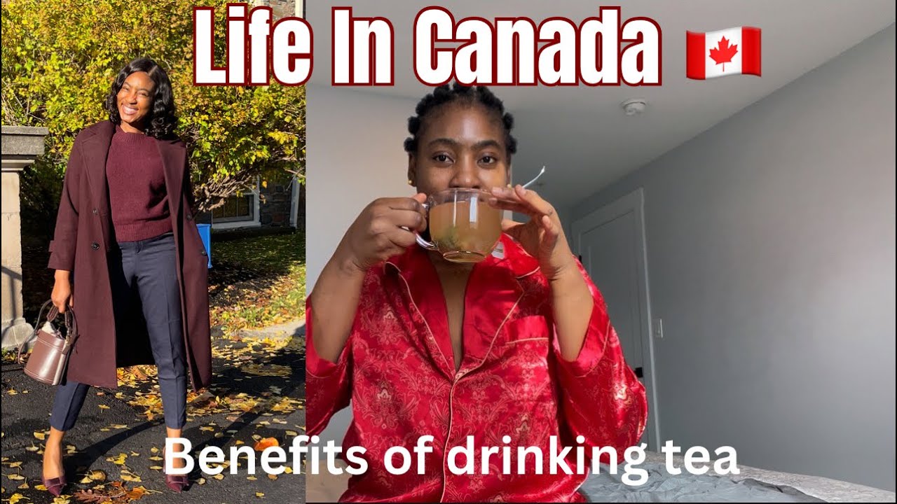 ЖИЗНЬ В КАНАДЕ 🇨🇦 (Новая Шотландия) + нигерийские🇳🇬водительские права в Канаде + новый штатив + м...