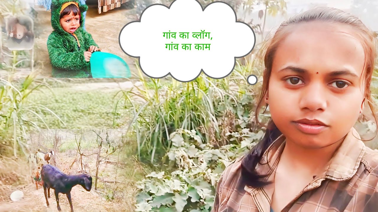 Golu Ka Rona 😢| Ghar Se Khet Tak Ka Safar 🌾 | Khet Me Baad Lagayi 🔥 | Village Family Vlog ❤️