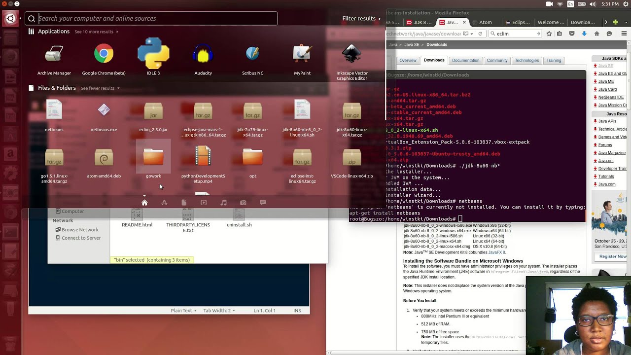 HTS Dev Diary: Java Development Setup