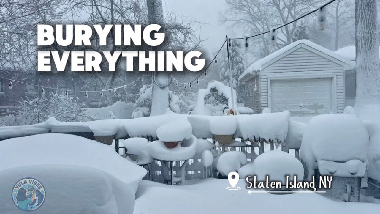 Watching the Snow Take Over in Rare New York Silence