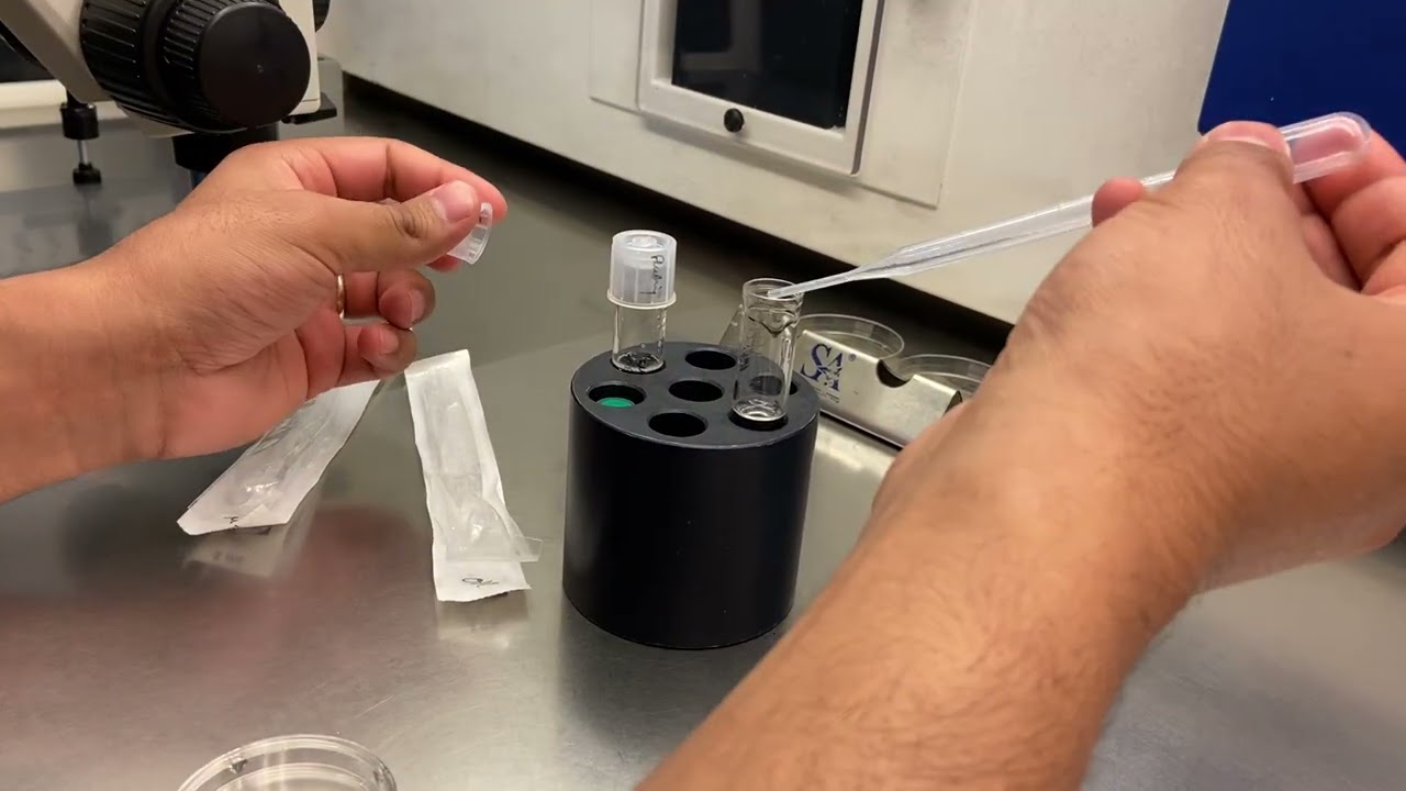 Mastering the ICSI Dish Preparation: A Step-by-Step Guide for Embryologists