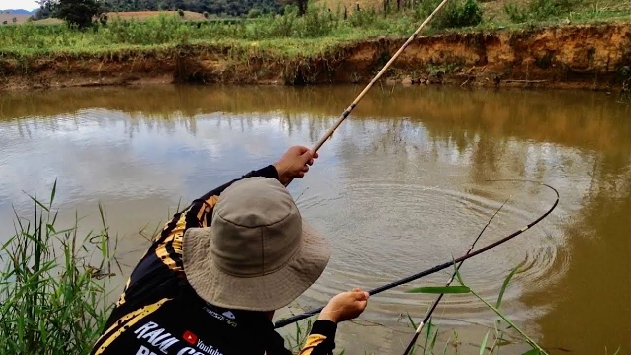 ENCONTRAMOS UM RIOZINHO LOTADO DE CURIMBA! FOI UMA FISGADA ATRAS DA OUTRA NA VARA DE MÃO. PESCARIA!