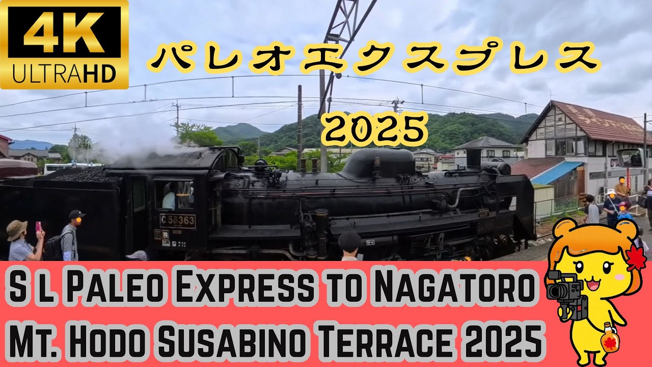 SL Paleo Express Nagatoro | Mt. Hodo Susabino Terrace | 4K 360° Silent JourneySLパレオエクスプレス長瀞｜宝登山スサビ