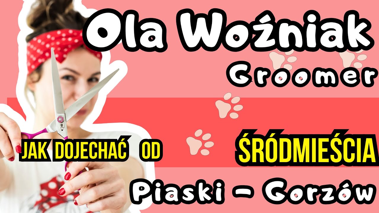 🔴 Groomer Gorzów - Ola Woźniak- jak do nas dojechać od ŚRÓDMIEŚCIA