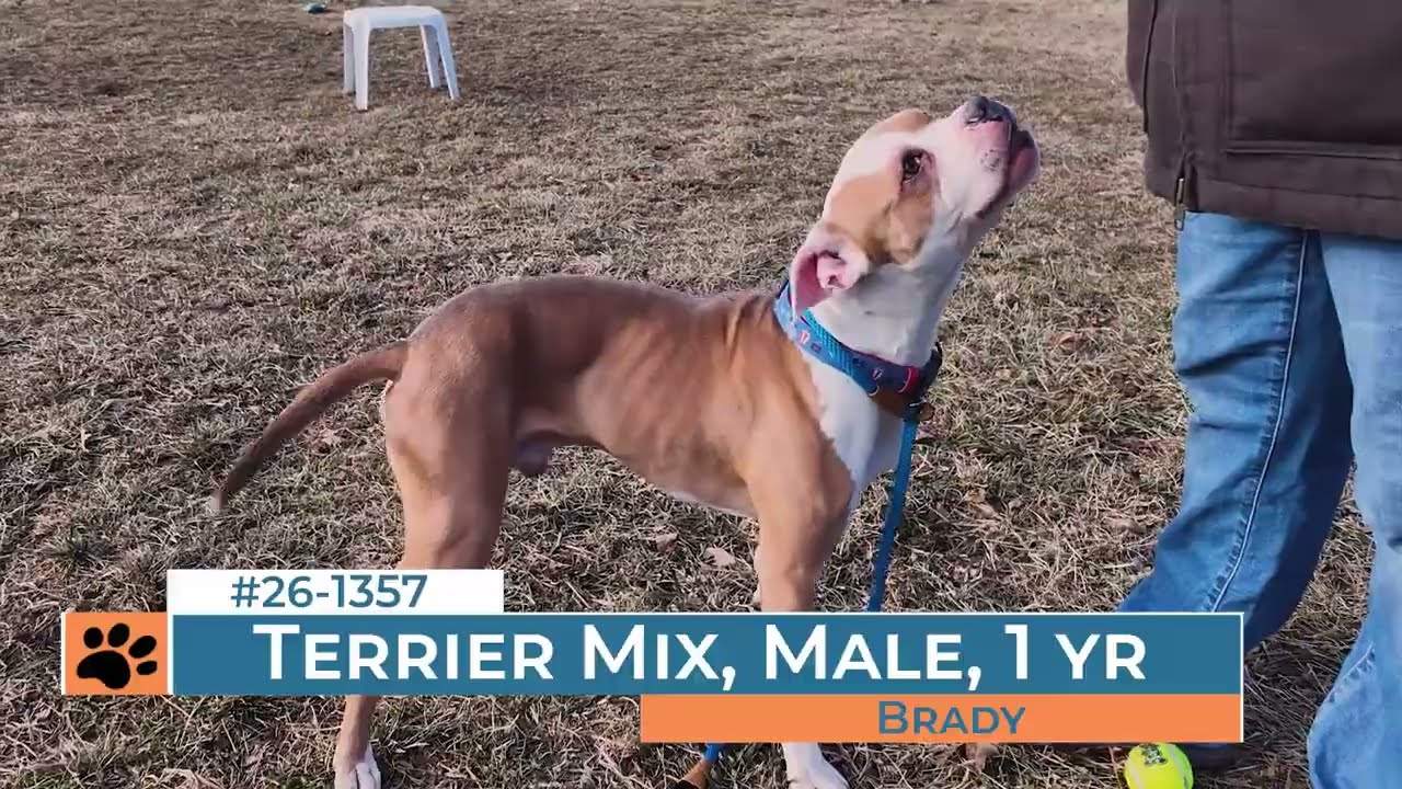 Brady - 261357