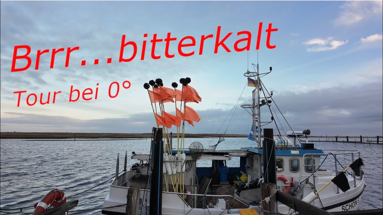 Tour am letzten Tag des Jahres 2025 ..... Bitterkalt bei 0°