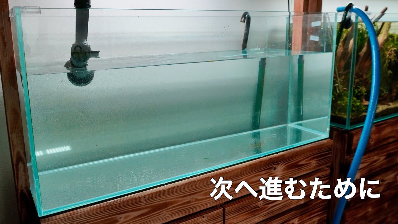 次へ進むために、水槽をリセットします