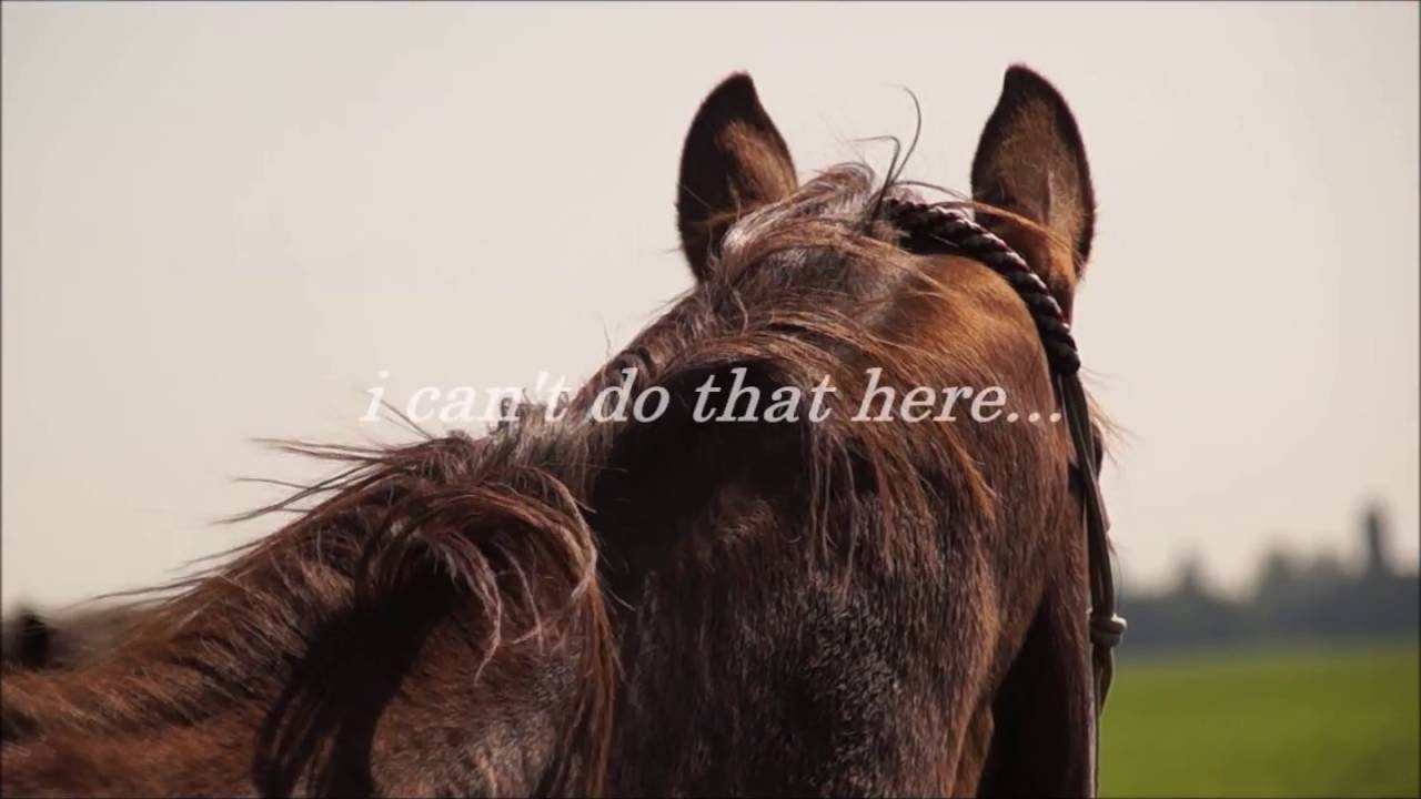 saying GOODBYE to my best friend [FREE AUDIO]