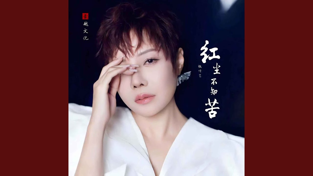 红尘不知苦（DJ天天开心版）