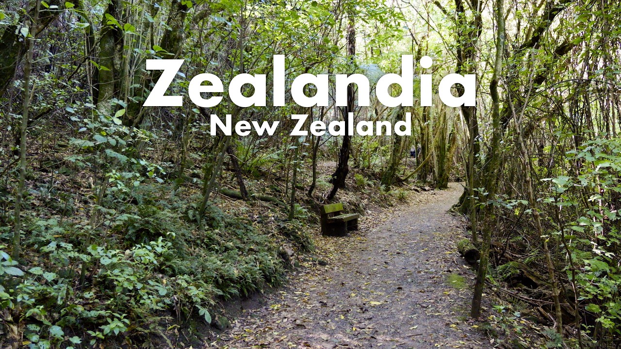 A Trip to Zealandia