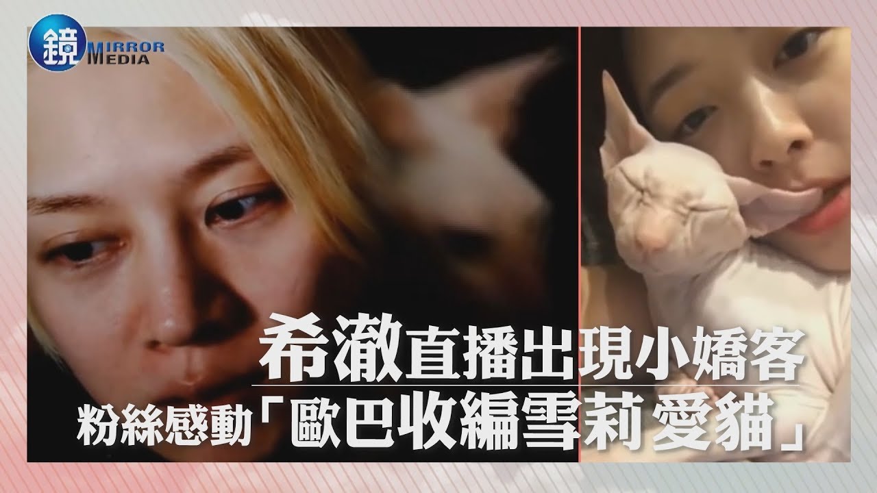 鏡週刊 鏡娛樂即時》希澈直播出現小嬌客 粉絲感動「歐巴收編雪莉的愛貓」？
