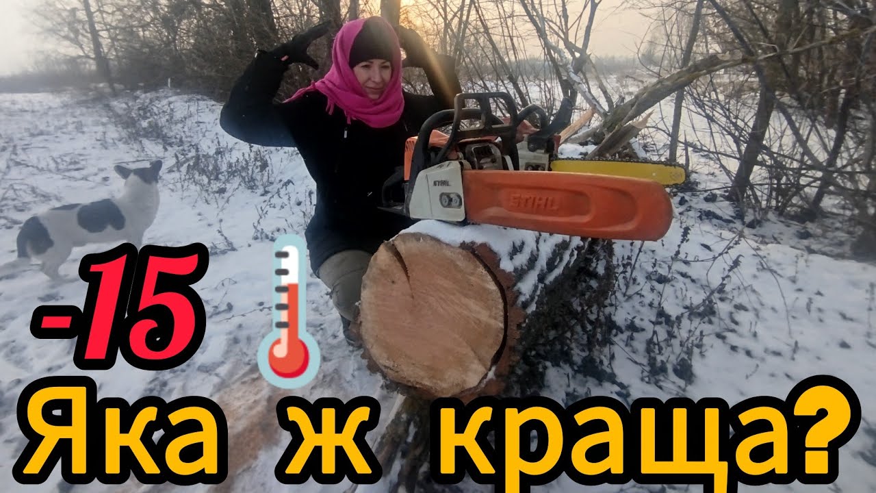 Stihl vs Sturm Тест-драйв на морозі❄️Тиждень морозів затиснув! Йду знову пиляти вербу🪵🪚