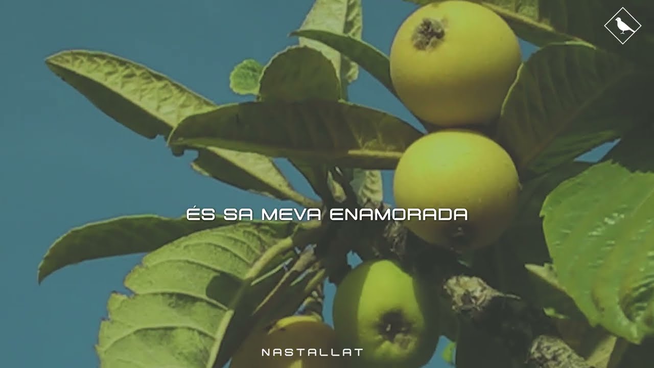NASTALLAT - Bullanguera enamorada (lyric video)