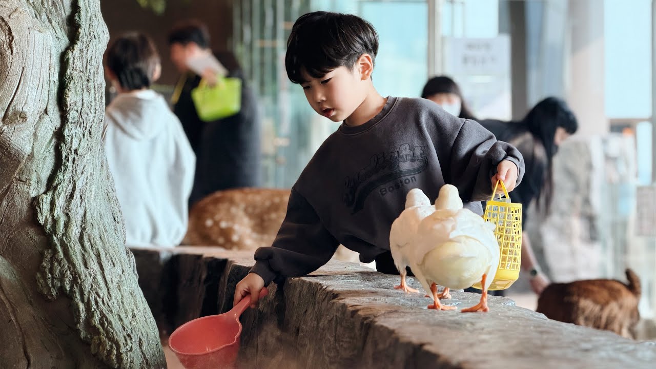 첫째 아들과 함께간 부산 애니멀 숲! #육아일기 #부산육아 #애니멀숲 #아빠와아들