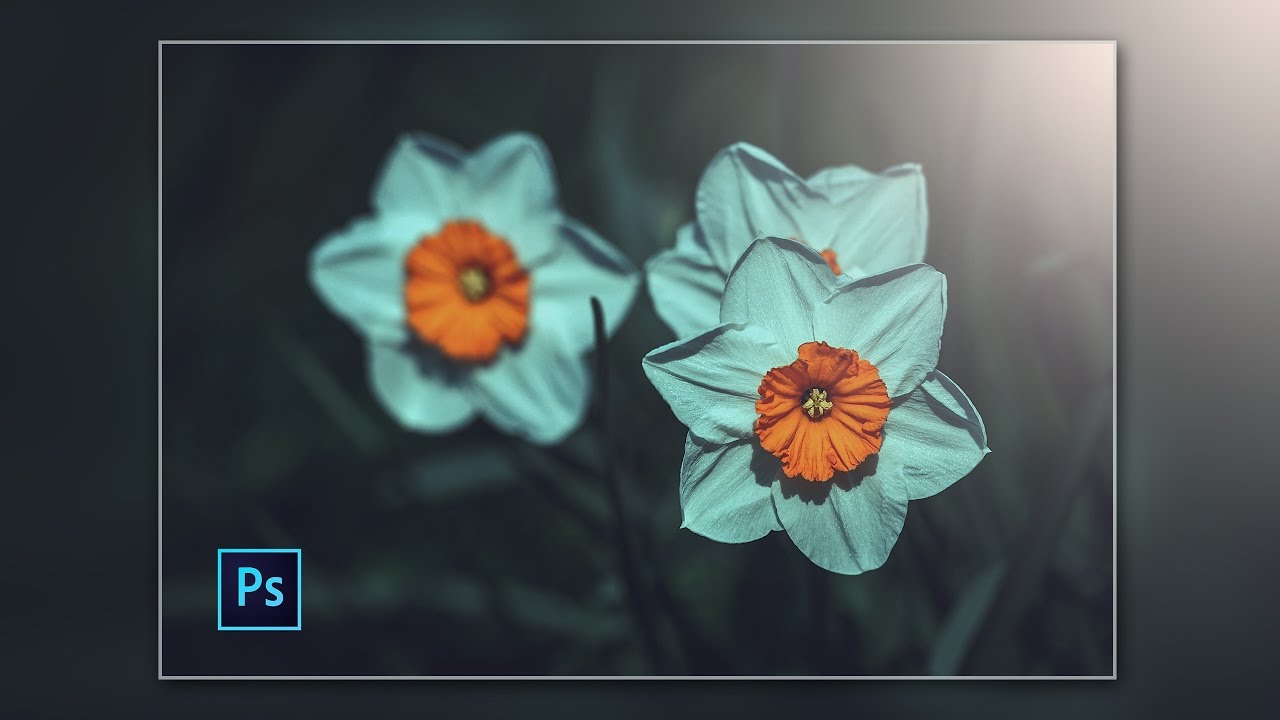 Photoshop cc Tutorial: Vintage Photo Effect (Flower)