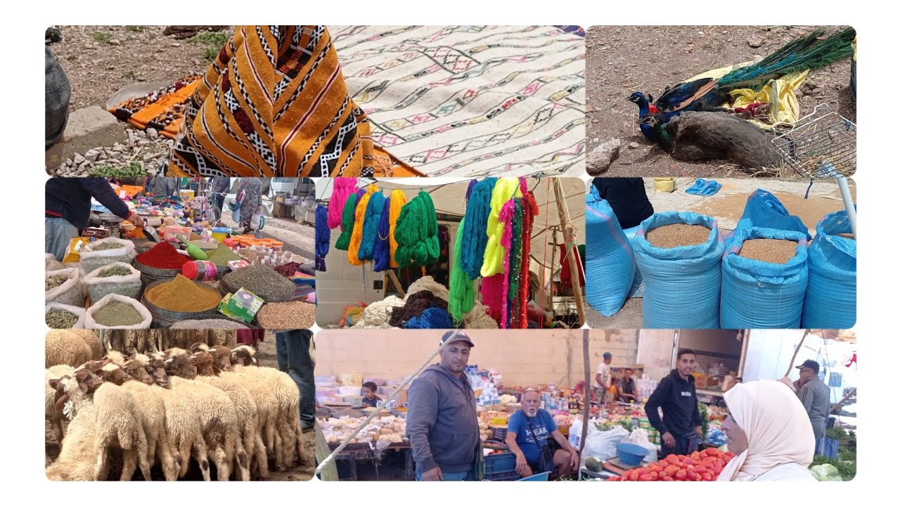 السوق الاسبوعي لأزرو مع اقتراب عيد الأضحى el mercado grande de AZROU سوق متنوع 💯