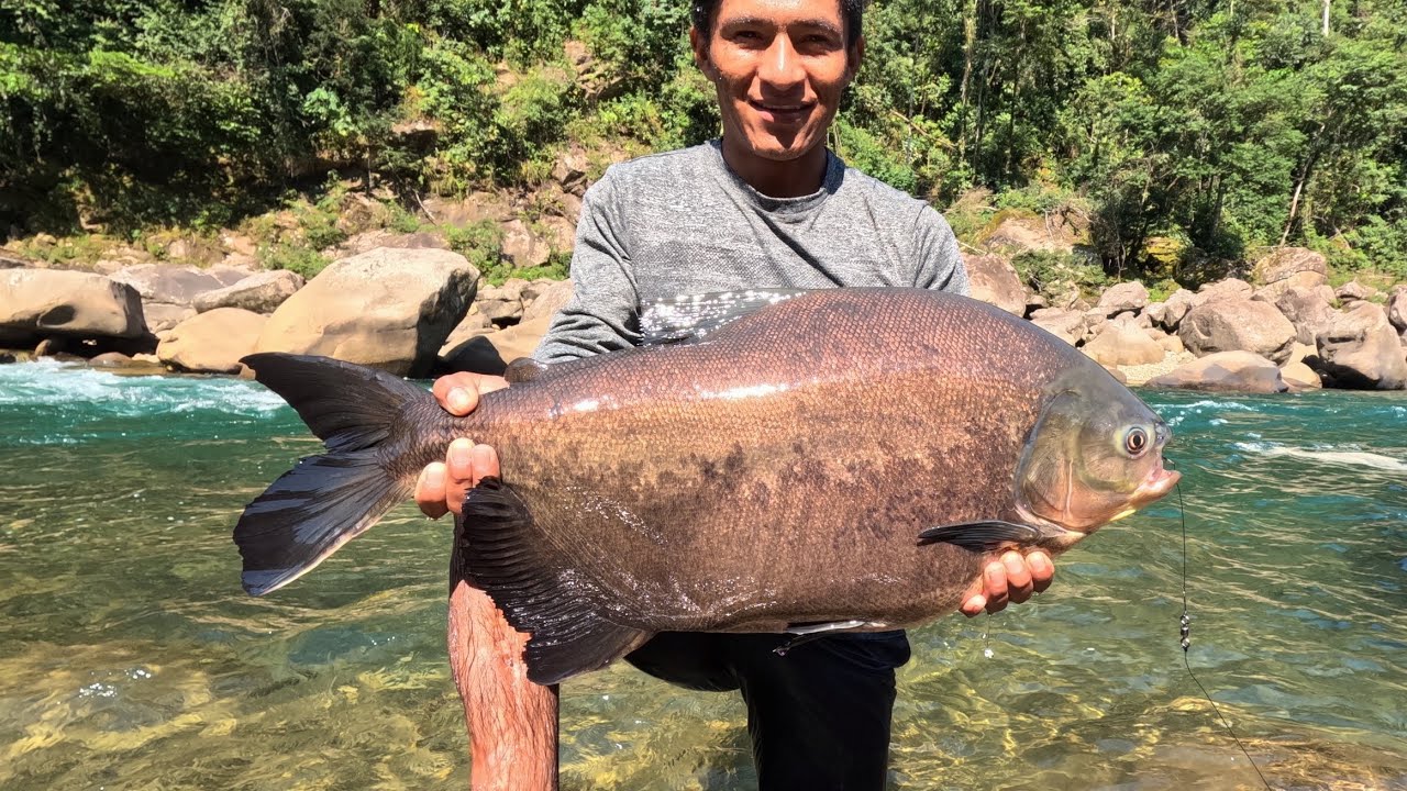 MI PESCA DEL 2025 RESUMIDO AMIGOS    FELIZ FIN DE AÑO Y FELIZ AÑO NUEVO AMIGOS QUE LA PASENLA BIEN😀👍