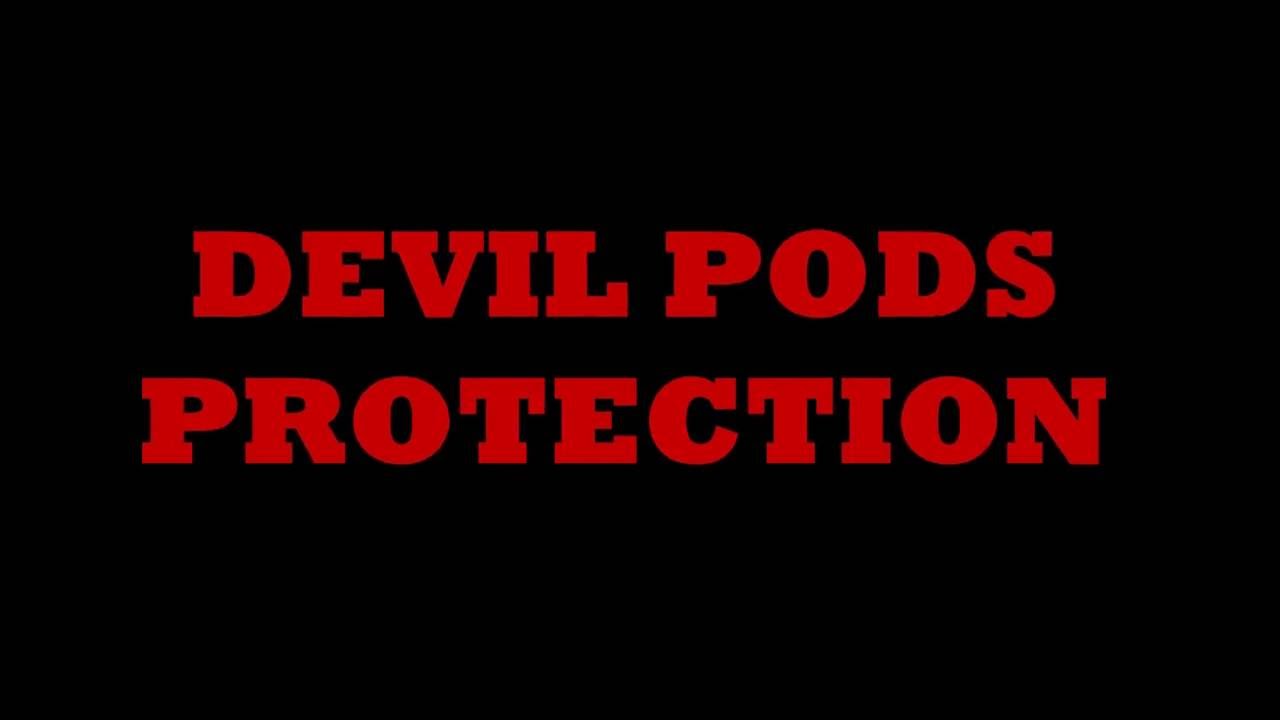 DEVIL PODS-HOODOO PROTECTION CURIO
