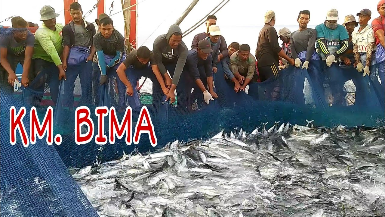 PUKAT CINCIN, Penangkapan Ikan Cakalang Terbanyak KM. BIMA LAUT ACEH