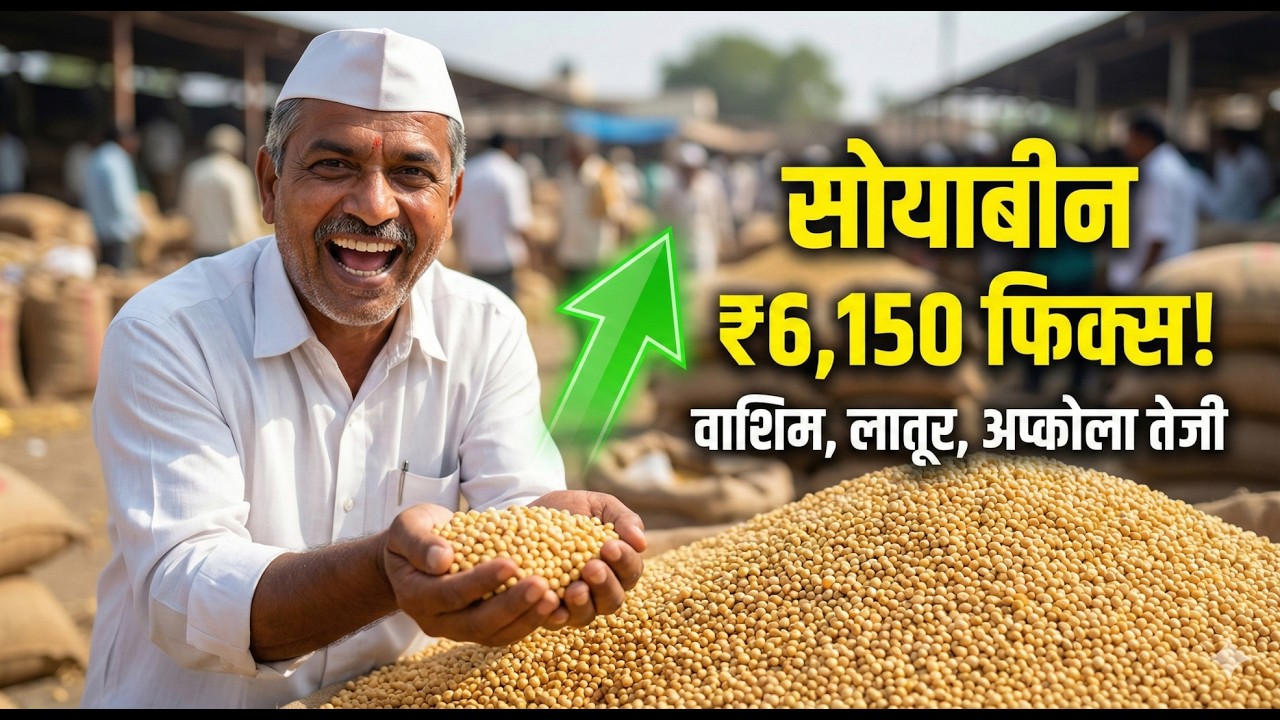 💰 सोयाबीन ₹6150 पार! पुढचा टार्गेट ₹6400? | Aajcha Bajar Bhav | Soybean Price Today