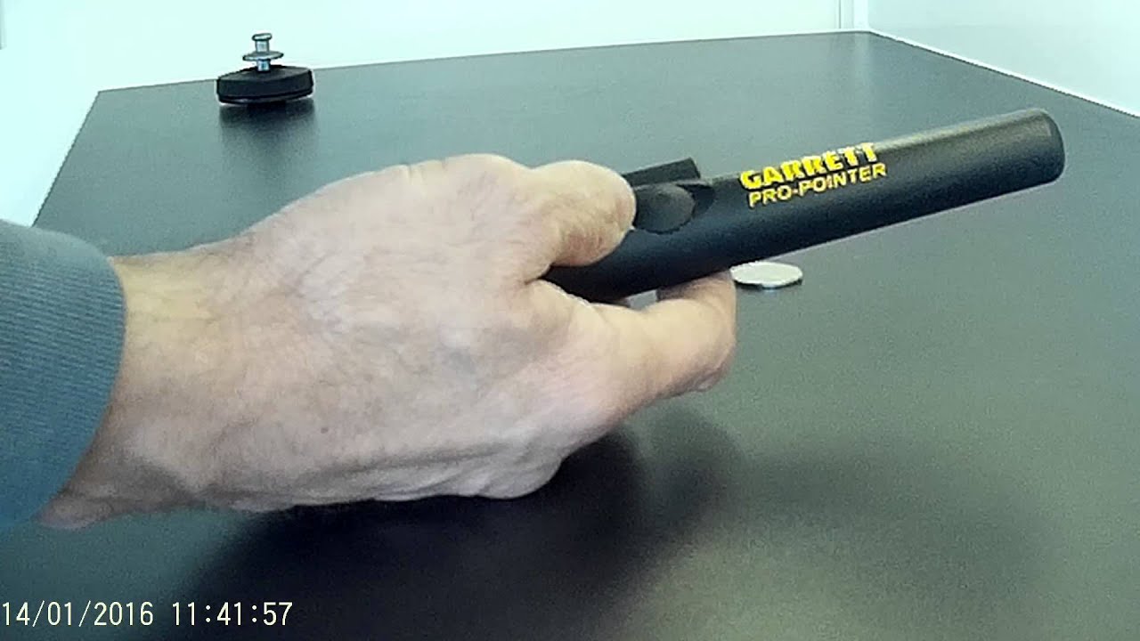 Fake Garrett Pro Pointer vs Real Pro Pointer .