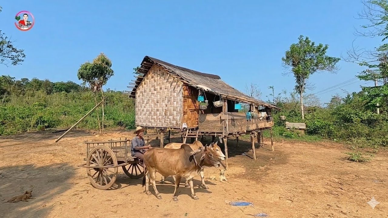 ก่อนจะเดินทางถึงหมู่บ้านในชนบท ไมใช่เรื่องง่าย หมู่บ้าน 7 หลังคาเรือนกลางป่าลึก