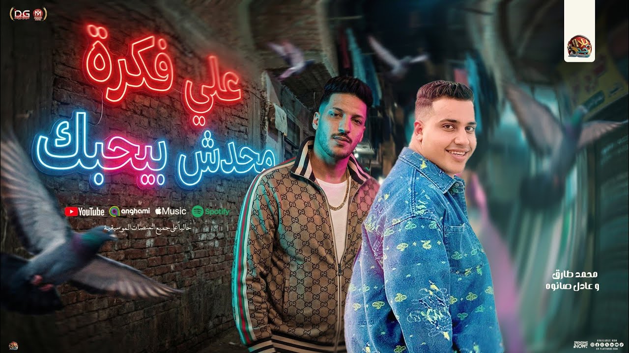 علي فكرة محدش بيحبك 
