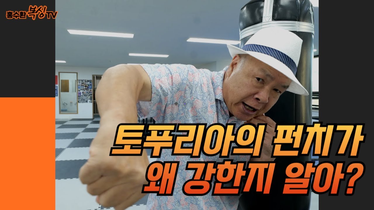 토푸리아의 펀치가 강한 이유.